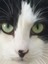 プロフィール