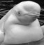 プロフィール