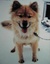 プロフィール