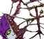 プロフィール