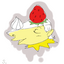 [プロフィール]